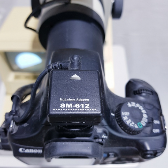 Canon CR5-45NM 안저