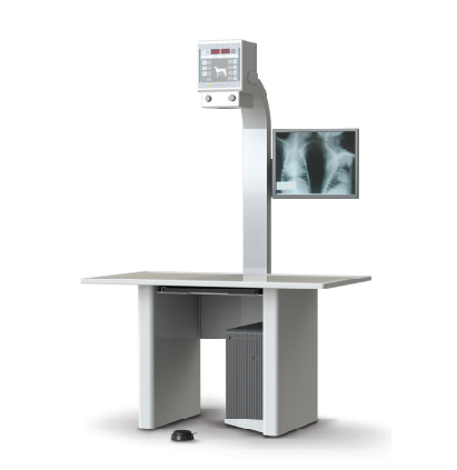 Digital Mobile x-ray system