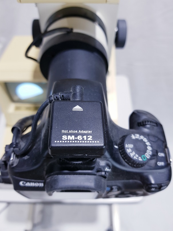 Canon CR5-45NM 안저